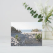 Carte Postale Dunes d'Ocean City (Debout devant)