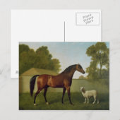 Carte Postale Dungannon, la propriété de colonel O'Kelly (Devant / Derrière)