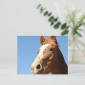 Carte Postale Dunnit (Debout devant)