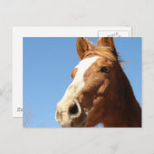 Carte Postale Dunnit (Devant / Derrière)