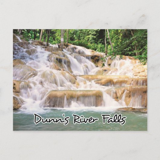 Carte Postale Dunn's River Falls Jamaïque closeup (Devant)