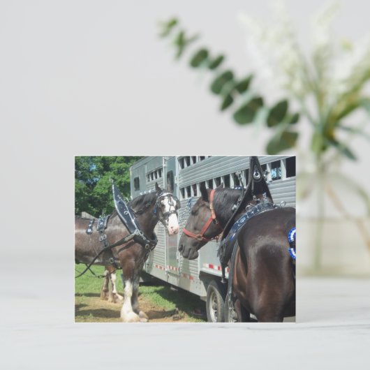 Carte Postale Duo à cheval (Debout devant)