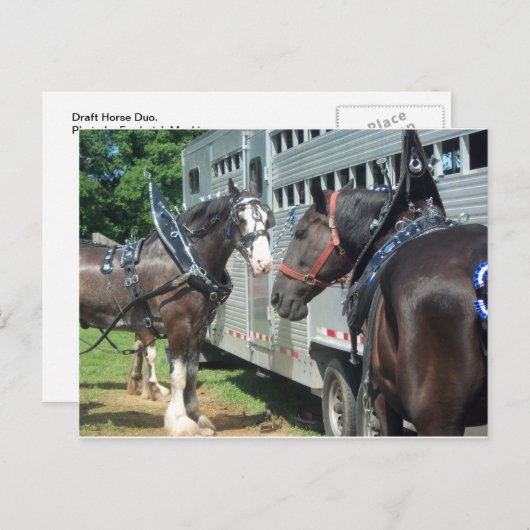 Carte Postale Duo à cheval (Devant / Derrière)