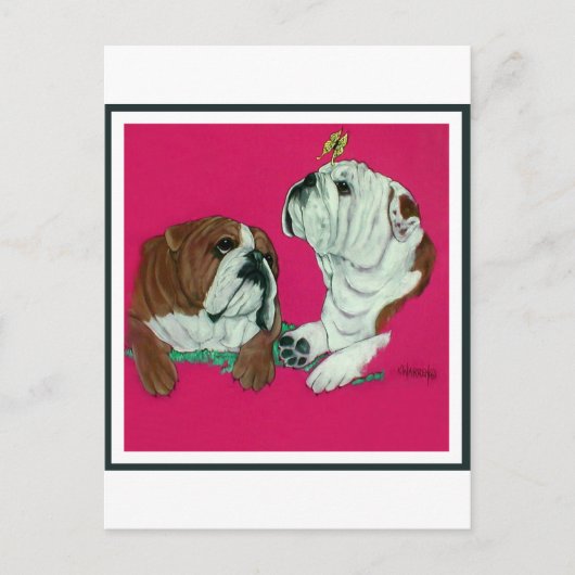 Carte Postale Duo de Bulldog anglais (Devant)