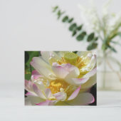Carte Postale Duo de fleur de Lotus (Debout devant)
