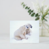 Carte Postale Duo d'ours polaire (Debout devant)