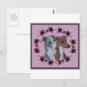 CARTE POSTALE DUO ITALIEN GREYHOUND (Devant / Derrière)