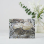 Carte postale Duo Mushrooms Brown (Debout devant)