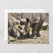 Carte Postale Duo Rinamic (Devant / Derrière)