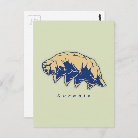 Carte Postale Durable - Tardigrade (Devant / Derrière)