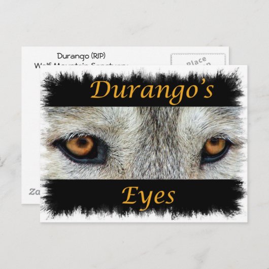 Carte Postale Durango Eye (RIP) (Devant / Derrière)