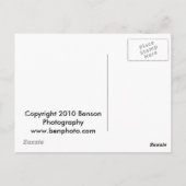 Carte Postale Durango & Silverton Steam Train (Dos)