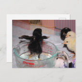 Carte Postale Durée du bain (Devant / Derrière)