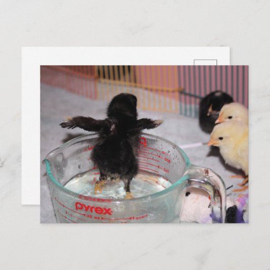 Carte Postale Durée du bain (Devant / Derrière)