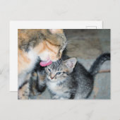 Carte Postale Durée du bain (Devant / Derrière)