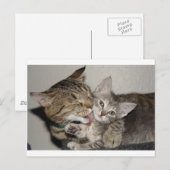 Carte Postale Durée du bain (Devant / Derrière)