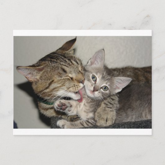 Carte Postale Durée du bain (Devant)