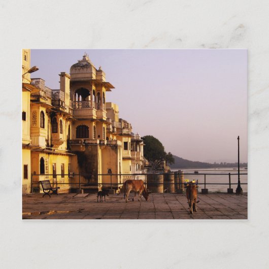 Carte Postale Dusk à Ganghaur Ghat, Udaipur, Rajasthan, Inde (Devant)
