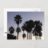 Carte Postale Dusk avec palmiers Scène tropicale (Devant / Derrière)