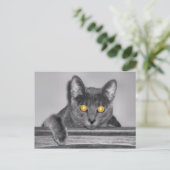 Carte postale Dusky Gold (Debout devant)