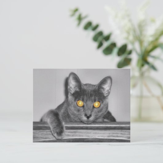 Carte postale Dusky Gold (Debout devant)