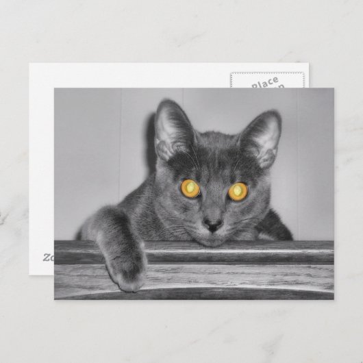 Carte postale Dusky Gold (Devant / Derrière)