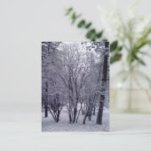 Carte Postale Dusting (Debout devant)