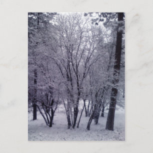 Carte Postale Dusting