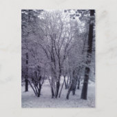 Carte Postale Dusting (Devant)