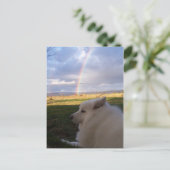 Carte Postale Dusty Charms (Debout devant)