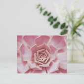Carte Postale Dusty Rose rose Succulent Plante du désert du sud- (Debout devant)