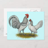 Carte Postale Dutch Bantam :  Auto bleu (Devant / Derrière)