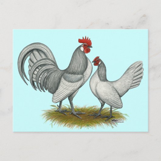 Carte Postale Dutch Bantam :  Auto bleu (Devant)
