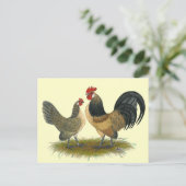 Carte Postale Dutch Bantam :  Queue bleue (Debout devant)