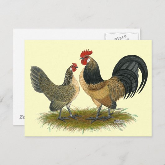 Carte Postale Dutch Bantam :  Queue bleue (Devant / Derrière)