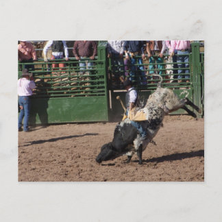 Carte Postale Dutchman Bull Riding perdu