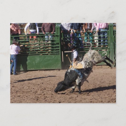 Carte Postale Dutchman Bull Riding perdu (Devant)
