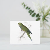 Carte Postale Dwarf Parrakeet-Maccaw par Edward Lear (Debout devant)