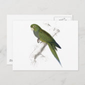 Carte Postale Dwarf Parrakeet-Maccaw par Edward Lear (Devant / Derrière)