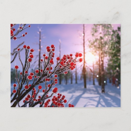 Carte postale d'Winterberry dans la glace (Devant)