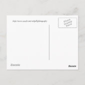 Carte Postale Dyckia délice (Dos)