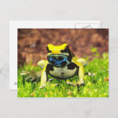 Carte Postale Dyeing Poison Frog, Dendrobates tinctorius, (Devant / Derrière)