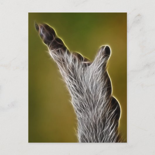 CARTE POSTALE E.T. (Devant)