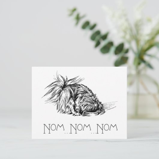 Carte Postale Eager Peke (Debout devant)