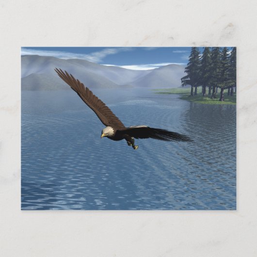 Carte Postale Eagle (Devant)