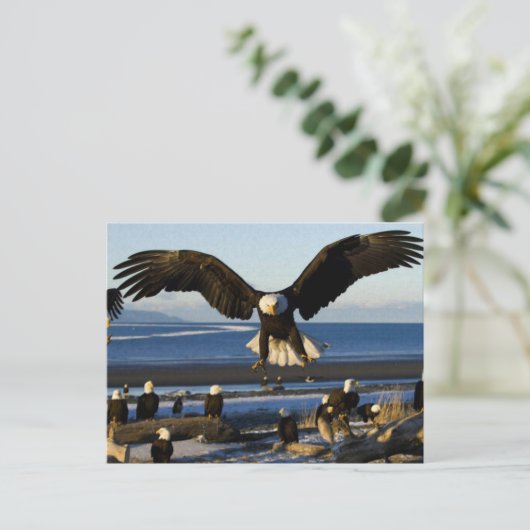 Carte postale Eagle 445 (Debout devant)