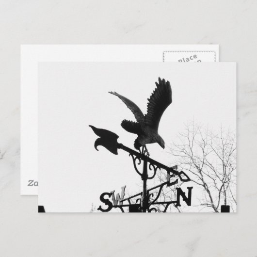 Carte Postale Eagle and Arrow (Devant / Derrière)