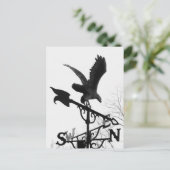 Carte Postale Eagle and Arrow (Debout devant)