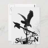 Carte Postale Eagle and Arrow (Devant / Derrière)