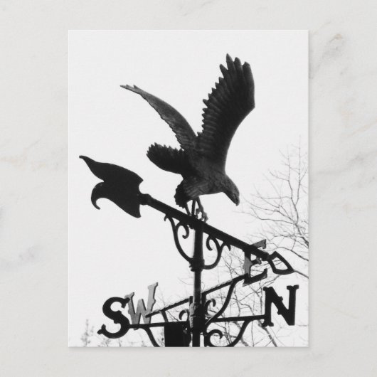 Carte Postale Eagle and Arrow (Devant)